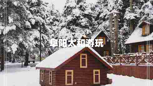 阜陽太和游玩