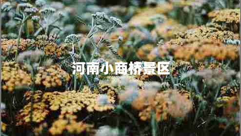 河南小商橋景區(qū)