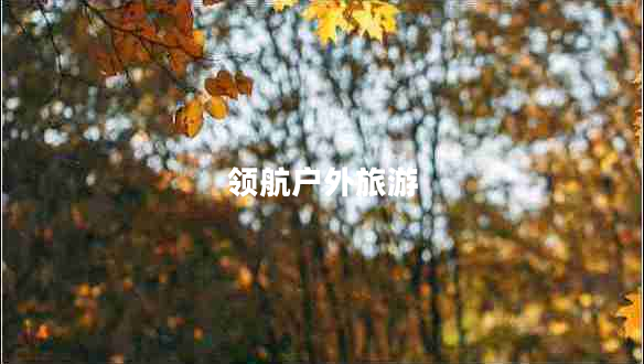 領航戶外旅游