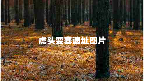 虎頭要塞遺址圖片