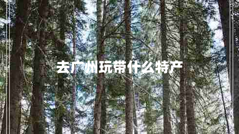 去廣州玩帶什么特產(chǎn)