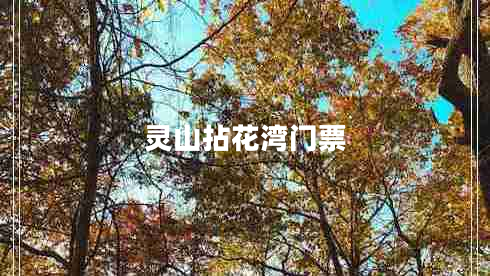 靈山拈花灣門(mén)票