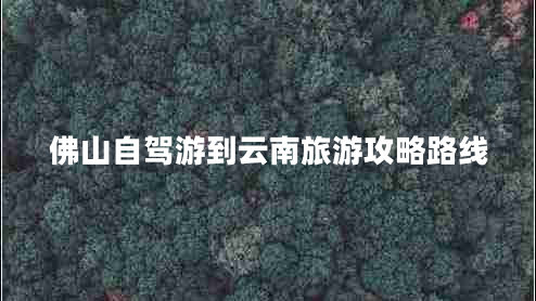 佛山自駕游到云南旅游攻略路線(xiàn)