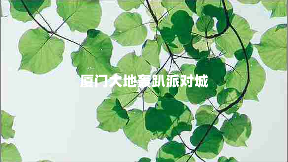 廈門(mén)大地轟趴派對城