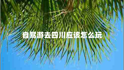 自駕游去四川應該怎么玩