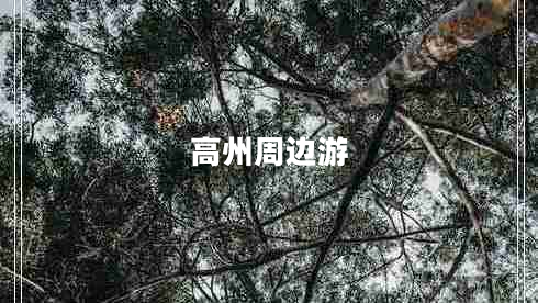 高州周邊游
