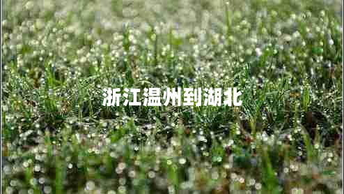 浙江溫州到湖北