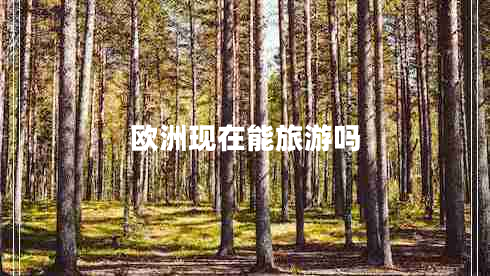 歐洲現(xiàn)在能旅游嗎