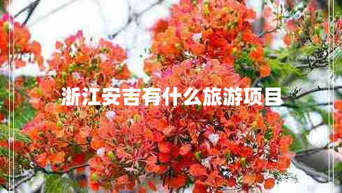 浙江安吉有什么旅游項目