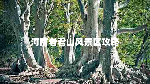 河南老君山風(fēng)景區(qū)攻略