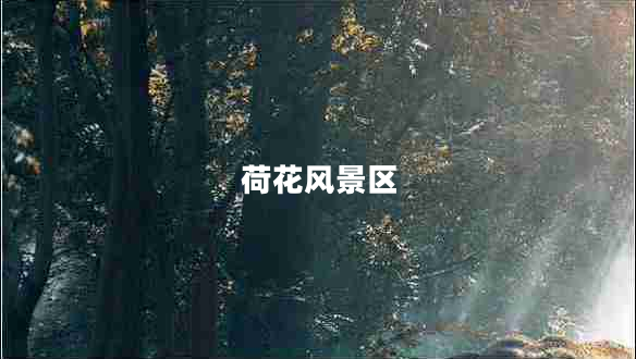 荷花風(fēng)景區(qū)