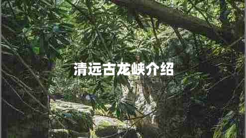 清遠古龍峽介紹