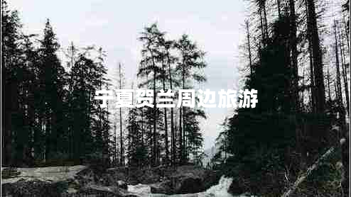 寧夏賀蘭周邊旅游