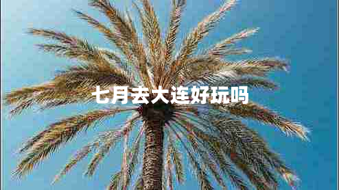 七月去大連好玩嗎