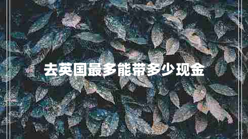 去英國最多能帶多少現(xiàn)金