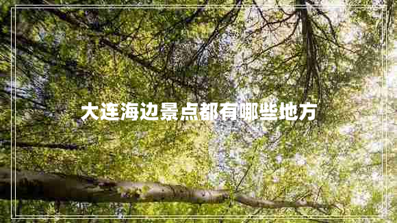 大連海邊景點都有哪些地方