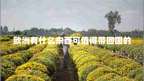歐洲有什么東西可值得帶回國(guó)的