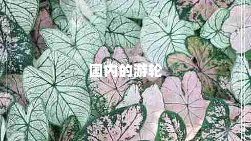 國內的游輪