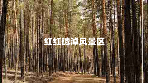 紅紅堿淖風(fēng)景區(qū)