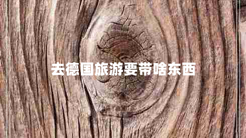 去德國旅游要帶啥東西