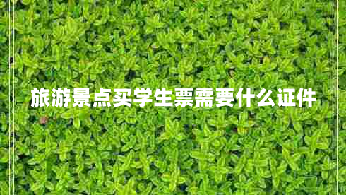 旅游景點買學(xué)生票需要什么證件