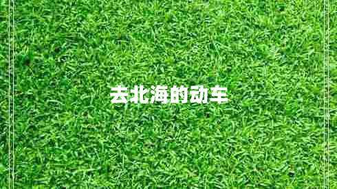 去北海的動(dòng)車(chē)