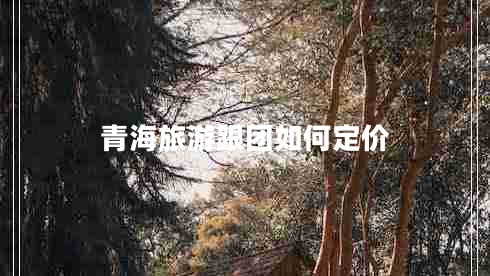 青海旅游跟團(tuán)如何定價(jià)