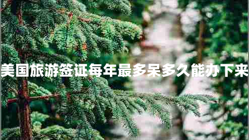 美國旅游簽證每年最多呆多久能辦下來