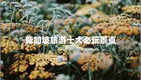 新加坡旅游十大必玩景點(diǎn)