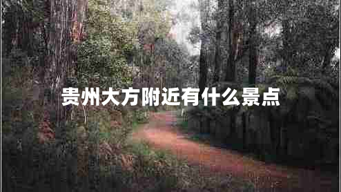 貴州大方附近有什么景點(diǎn)