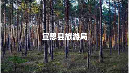 宣恩縣旅游局