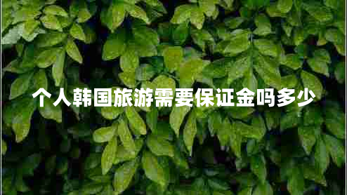 個人韓國旅游需要保證金嗎多少