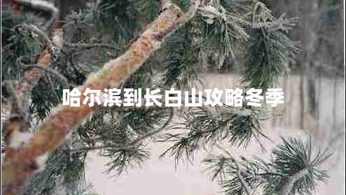 哈爾濱到長(cháng)白山攻略冬季