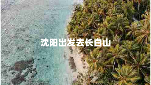 沈陽出發(fā)去長白山