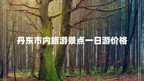 丹東市內(nèi)旅游景點一日游價格