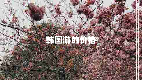 韓國(guó)游的價(jià)格