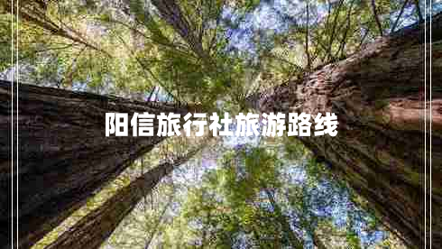 陽(yáng)信旅行社旅游路線