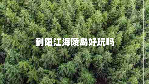 到陽江海陵島好玩嗎