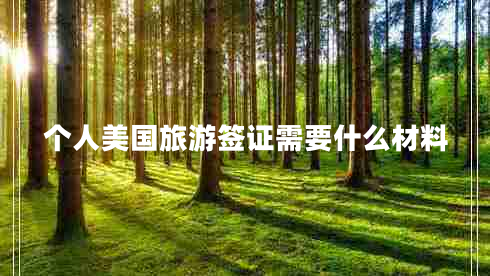 個(gè)人美國旅游簽證需要什么材料
