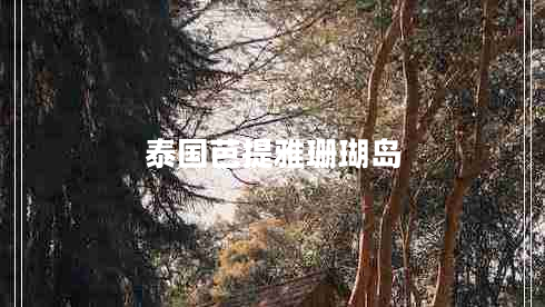 泰國芭提雅珊瑚島
