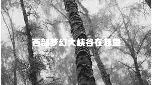 西部夢(mèng)幻大峽谷在哪里