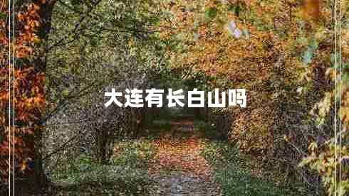 大連有長(cháng)白山嗎