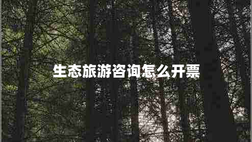 生態(tài)旅游咨詢?cè)趺撮_票