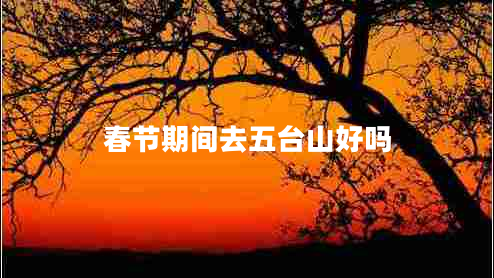 春節期間去五臺山好嗎
