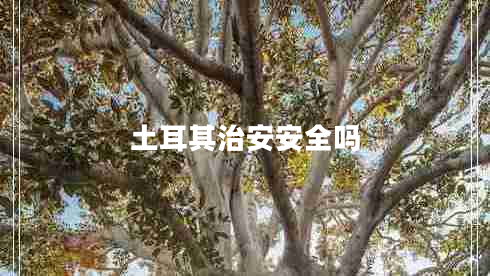 土耳其治安安全嗎