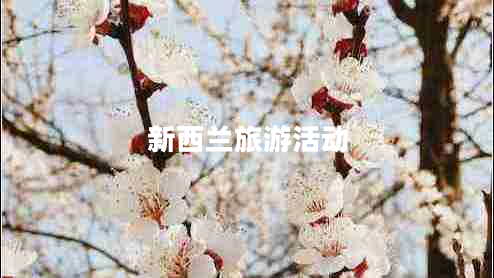 新西蘭旅游活動(dòng)