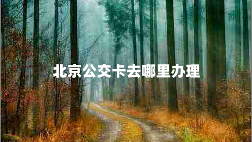 北京公交卡去哪里辦理