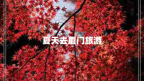 夏天去廈門(mén)旅游