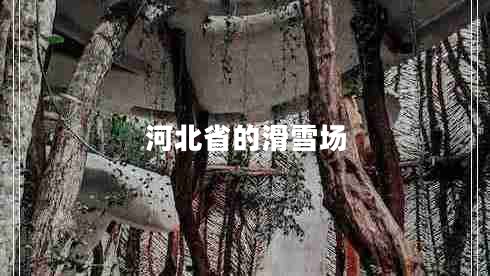 河北省的滑雪場(chǎng)