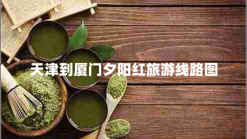 天津到廈門夕陽紅旅游線路圖